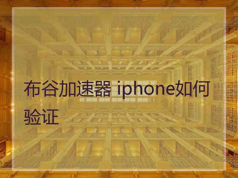 布谷加速器 iphone如何验证