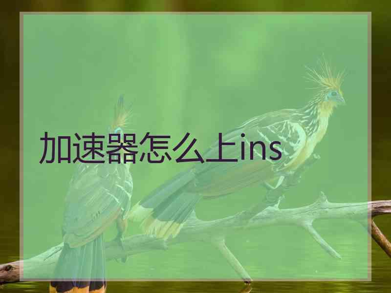 加速器怎么上ins
