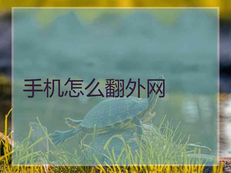 手机怎么翻外网