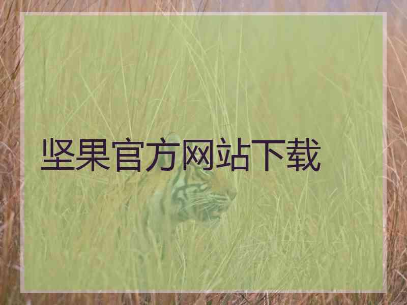 坚果官方网站下载
