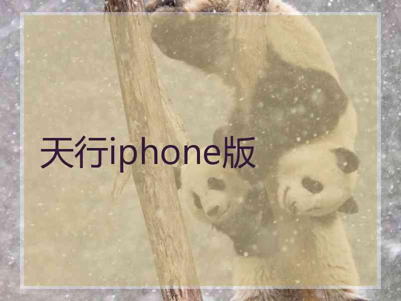 天行iphone版