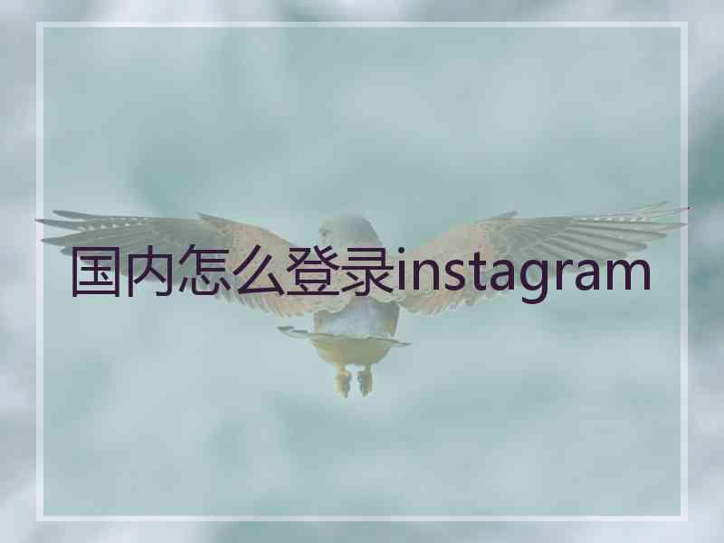 国内怎么登录instagram