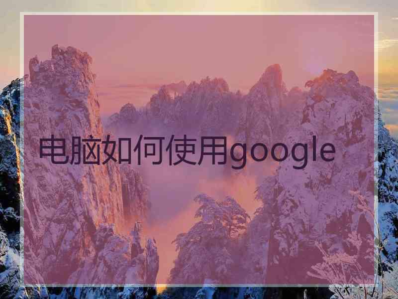 电脑如何使用google
