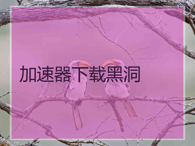加速器下载黑洞