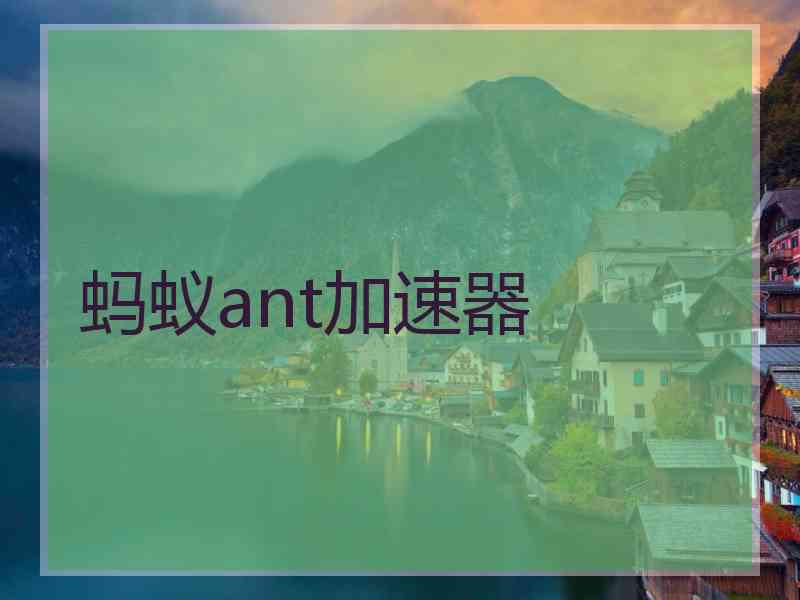 蚂蚁ant加速器