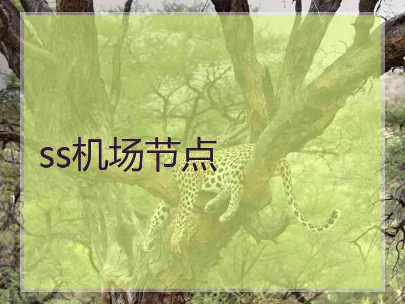 ss机场节点