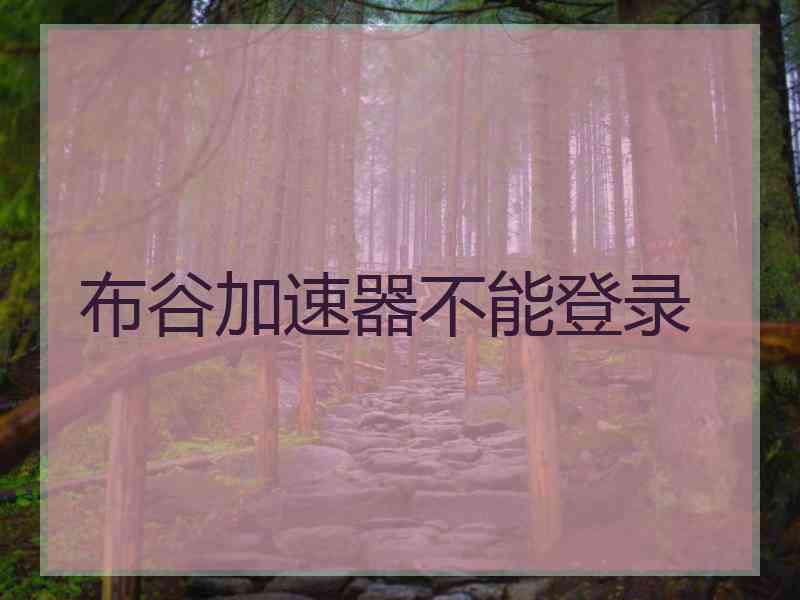 布谷加速器不能登录