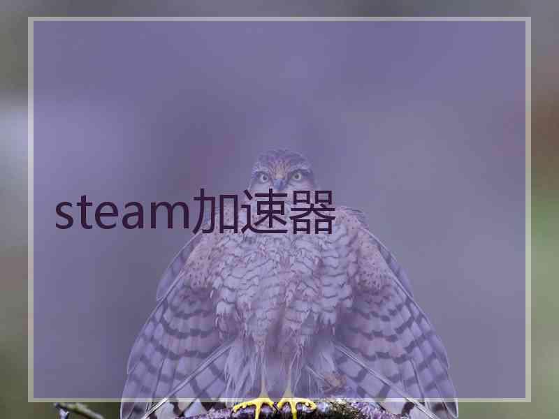 steam加速器