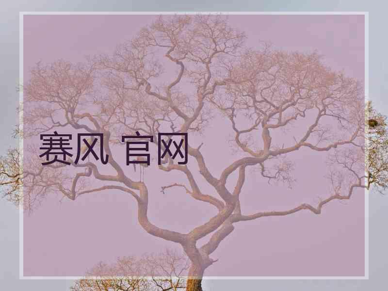 赛风 官网