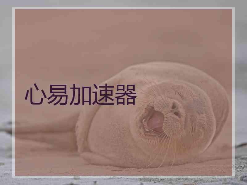 心易加速器
