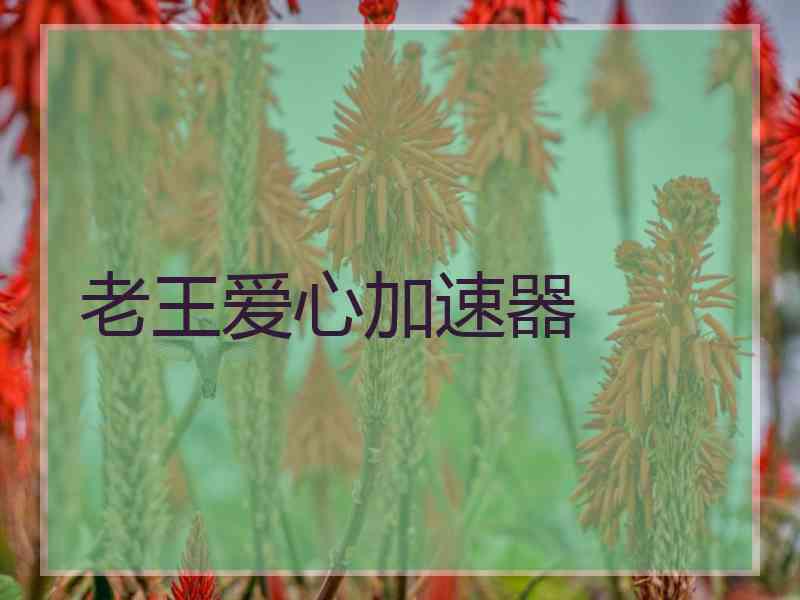 老王爱心加速器