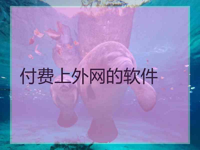 付费上外网的软件