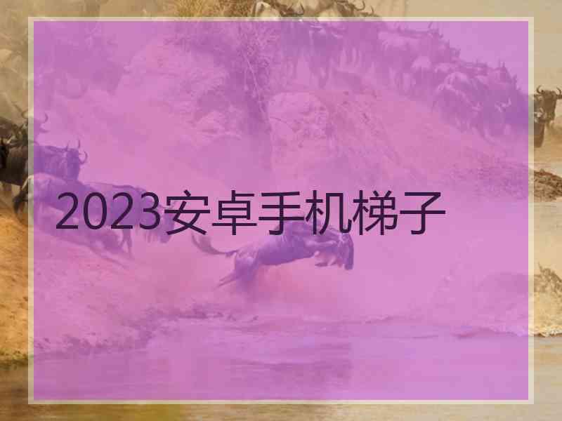 2023安卓手机梯子