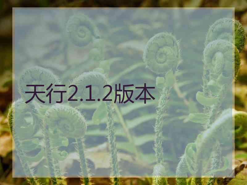 天行2.1.2版本