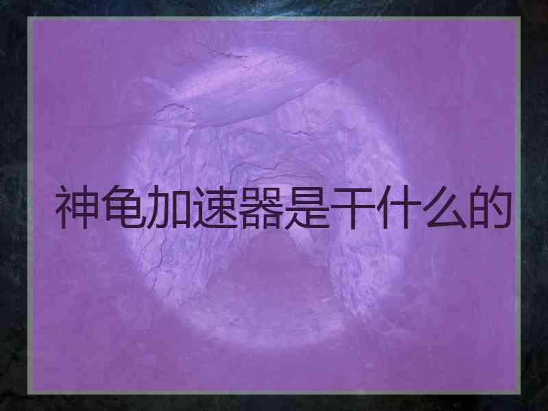 神龟加速器是干什么的