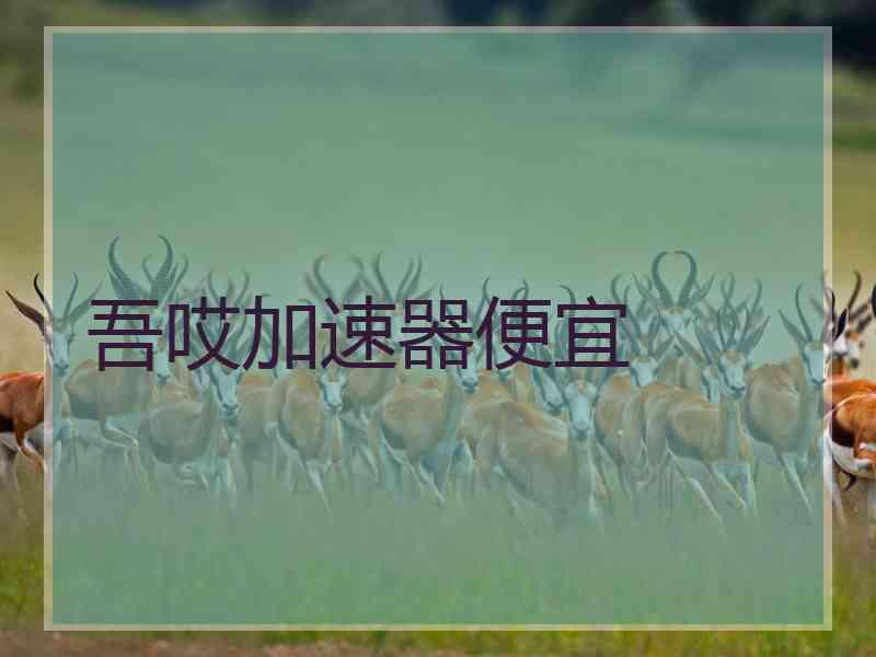 吾哎加速器便宜