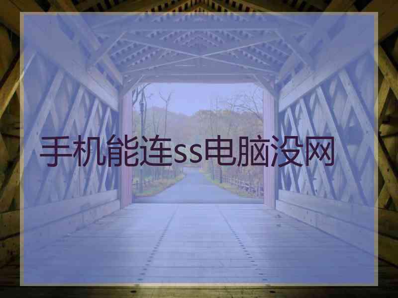 手机能连ss电脑没网