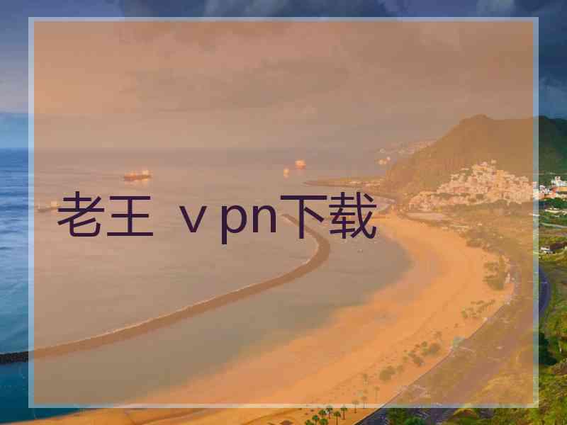老王 ⅴpn下载