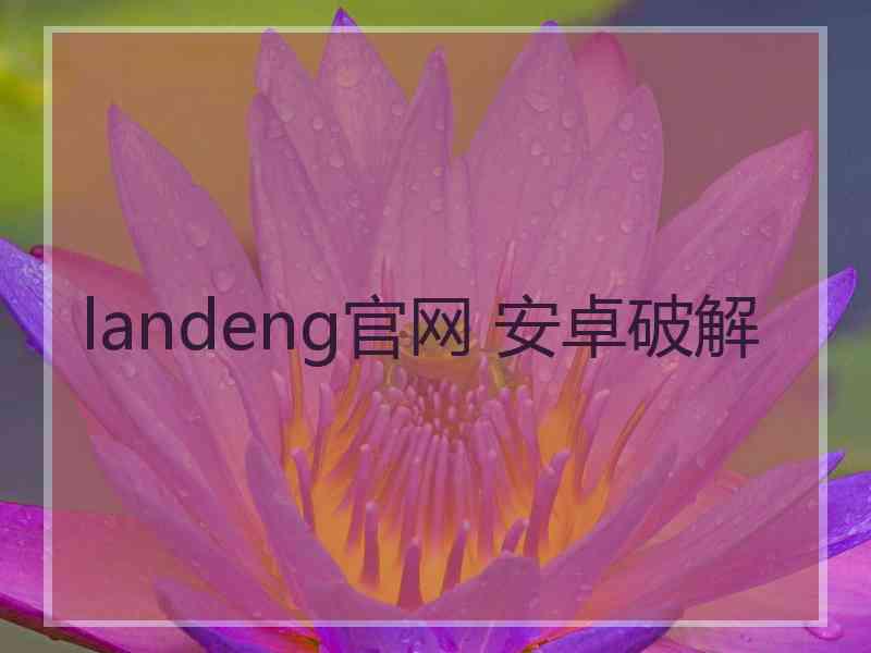 landeng官网 安卓破解