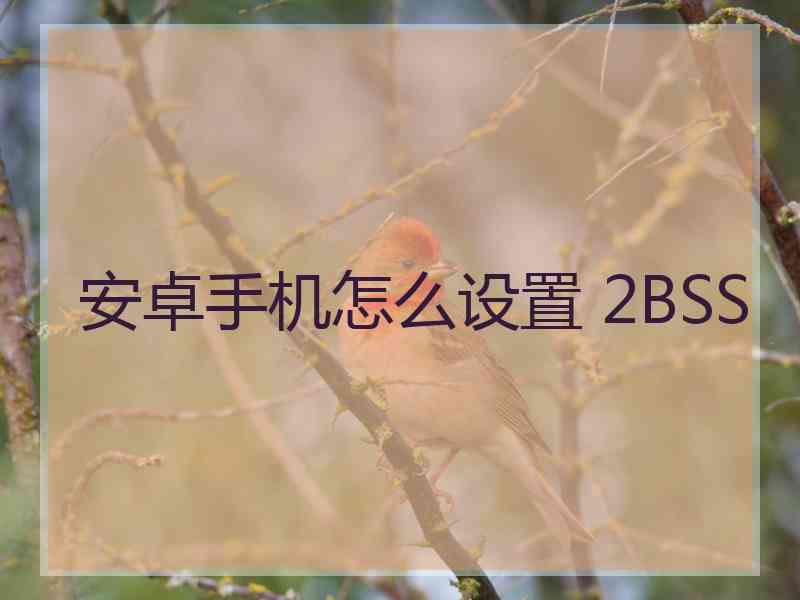安卓手机怎么设置 2BSS