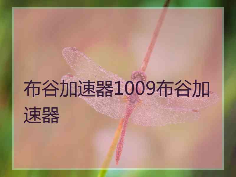 布谷加速器1009布谷加速器