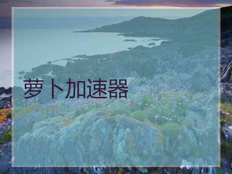 萝卜加速器