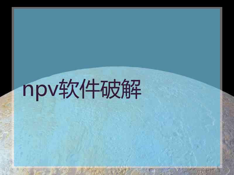 npv软件破解