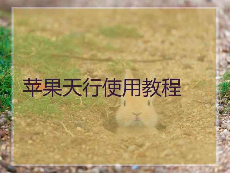 苹果天行使用教程