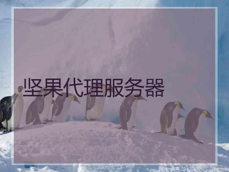 坚果代理服务器