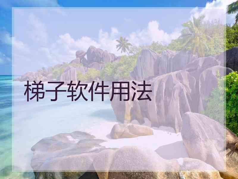 梯子软件用法