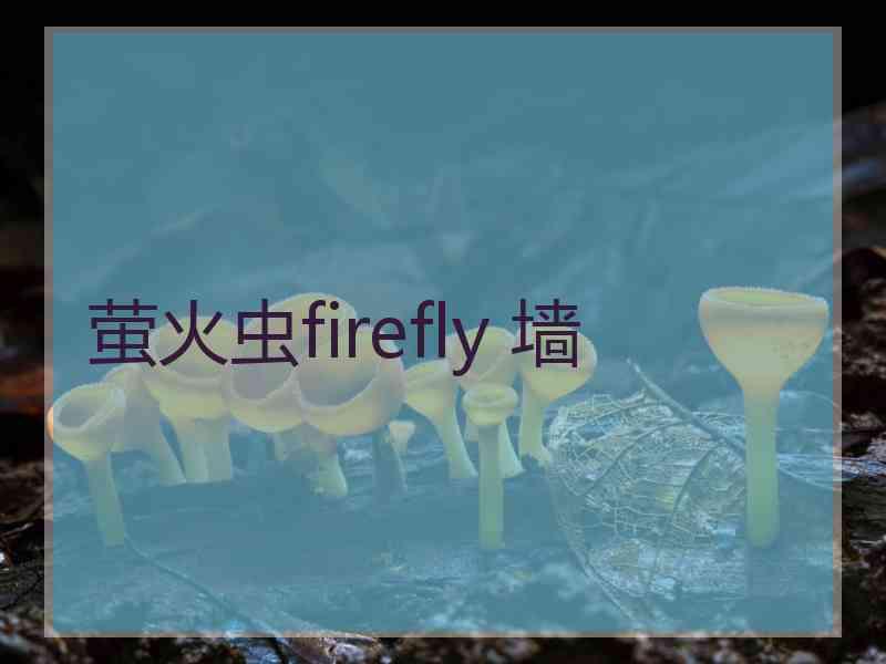 萤火虫firefly 墙