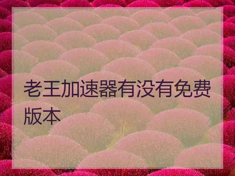 老王加速器有没有免费版本