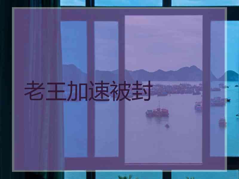 老王加速被封