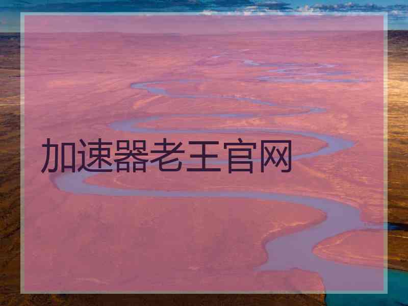 加速器老王官网