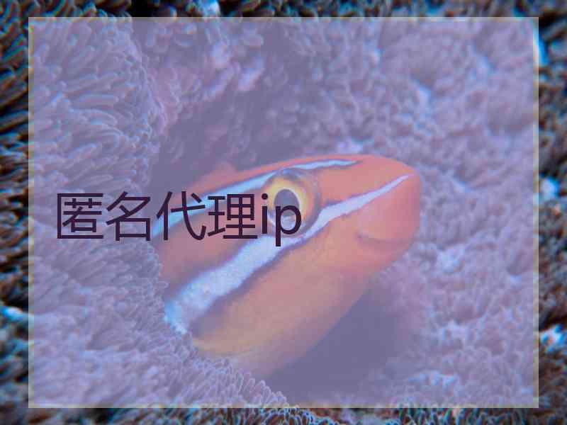 匿名代理ip