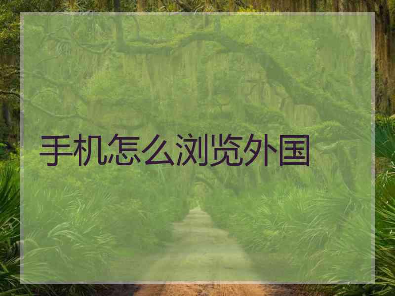 手机怎么浏览外国