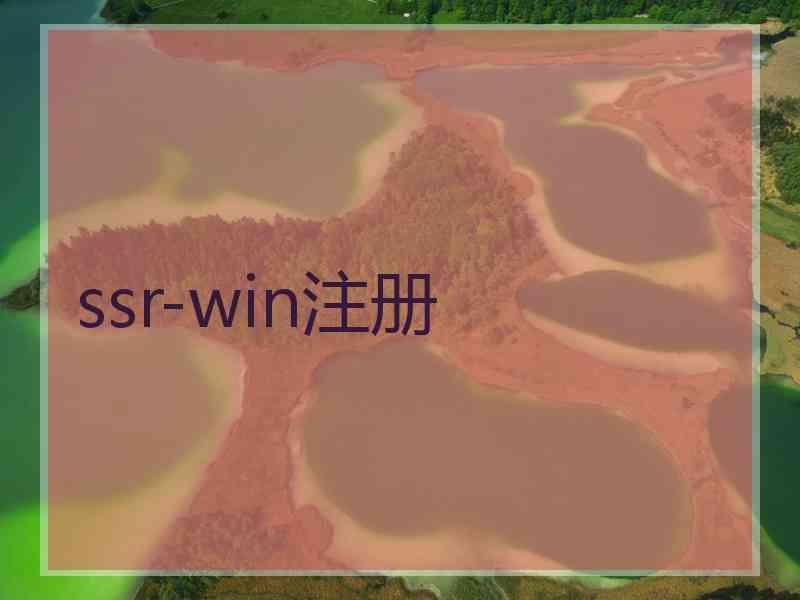 ssr-win注册