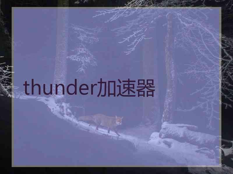 thunder加速器
