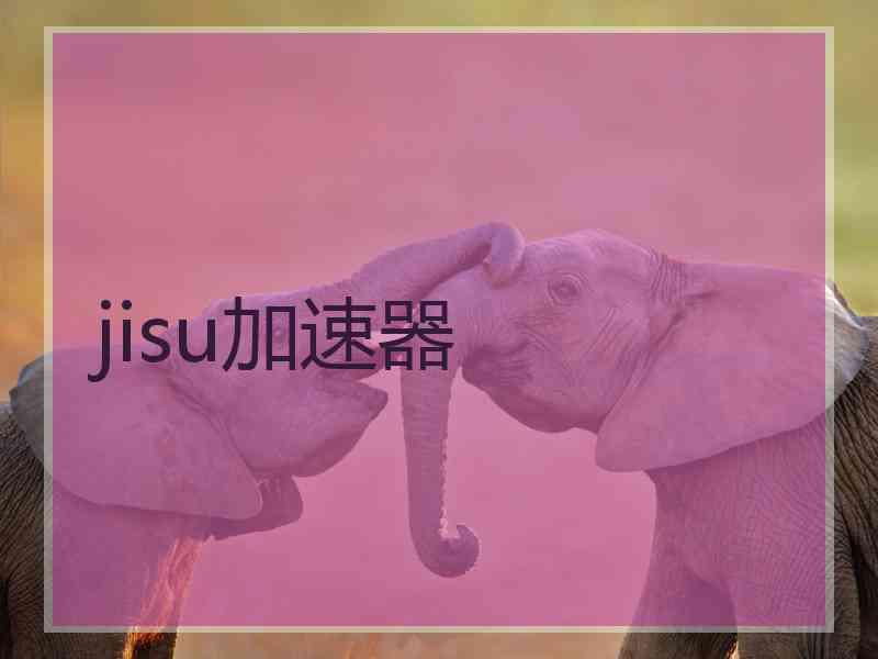 jisu加速器