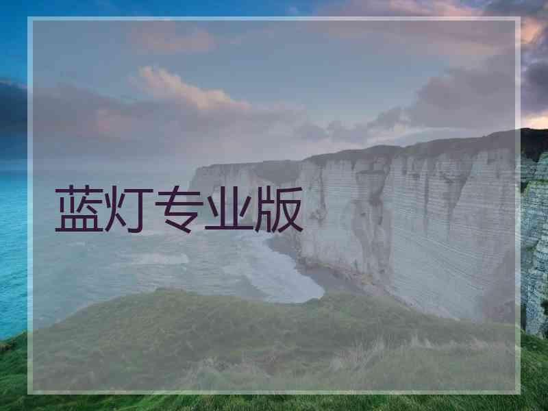 蓝灯专业版