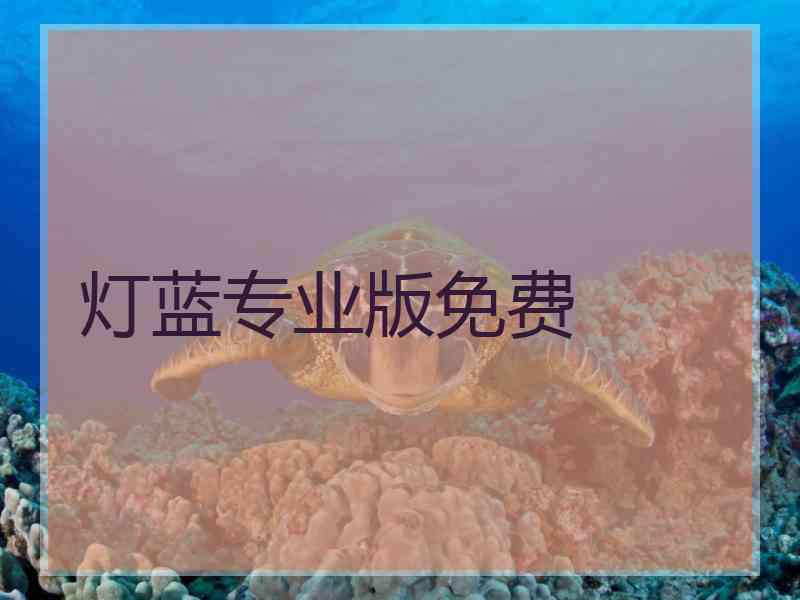 灯蓝专业版免费