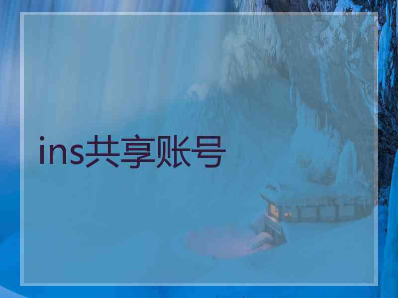 ins共享账号