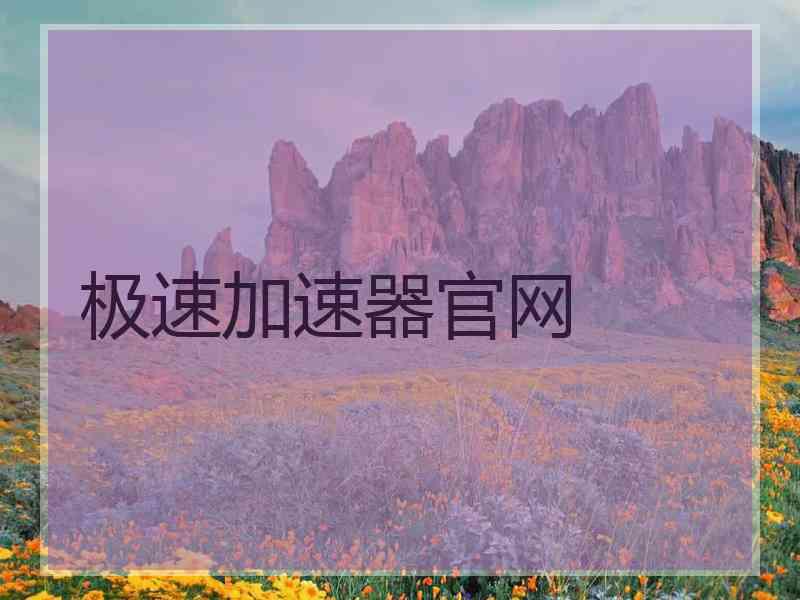 极速加速器官网