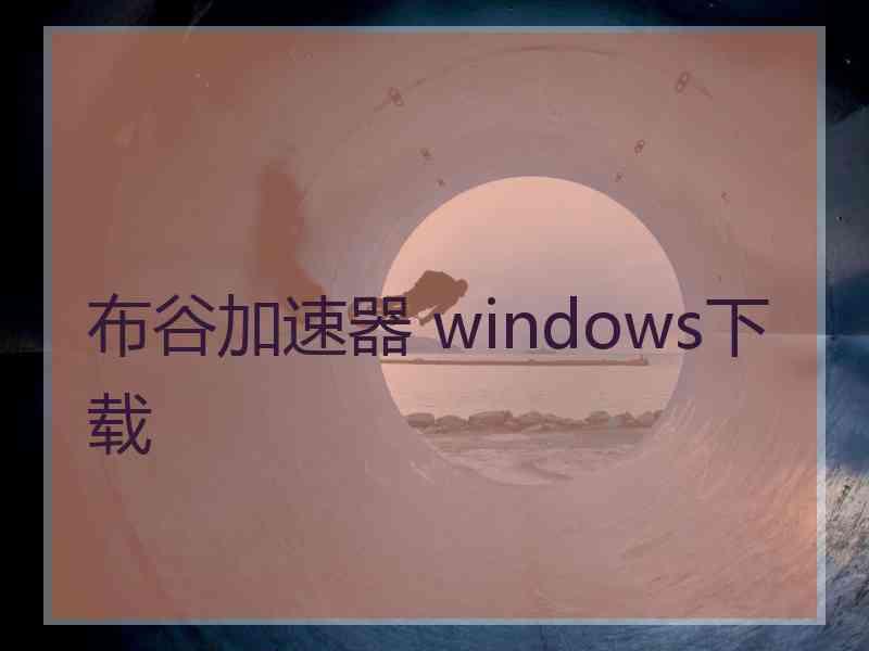布谷加速器 windows下载