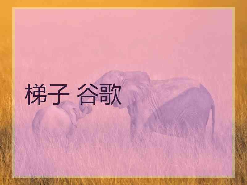 梯子 谷歌