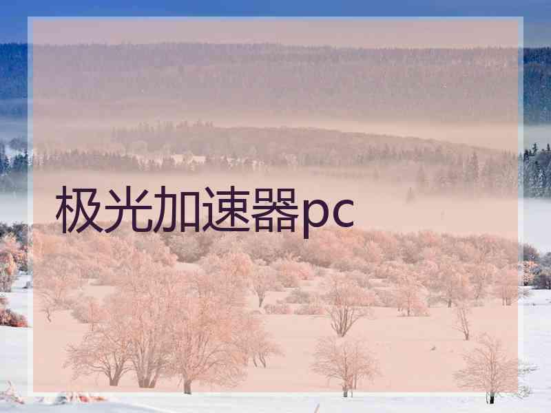 极光加速器pc