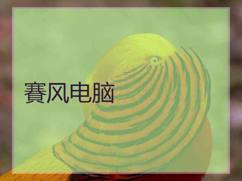 賽风电脑