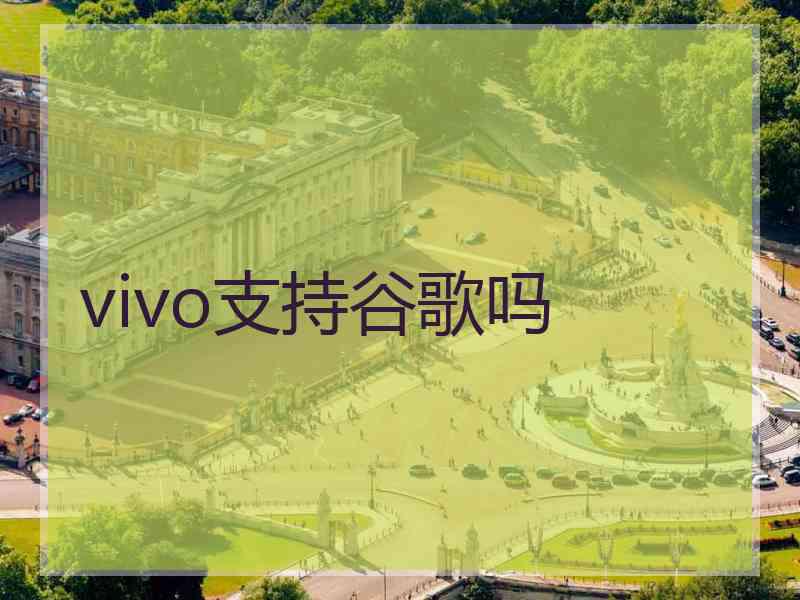 vivo支持谷歌吗
