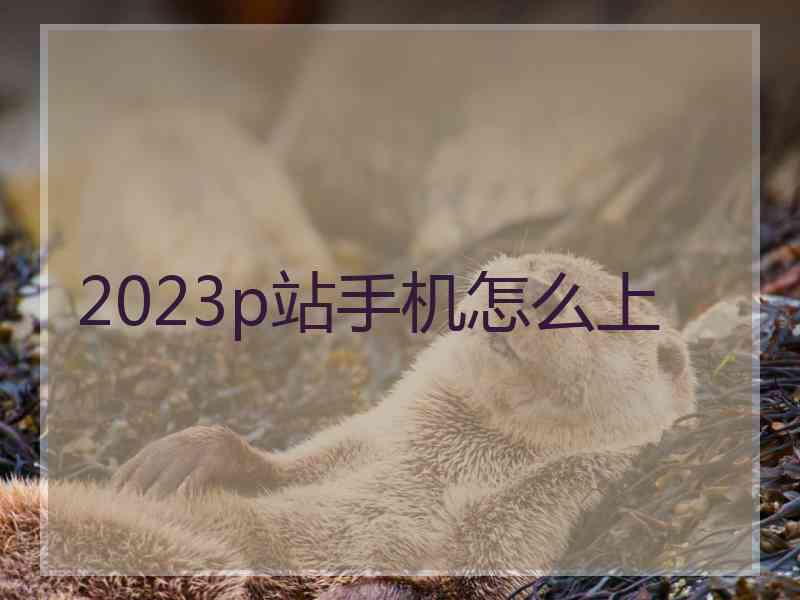 2023p站手机怎么上