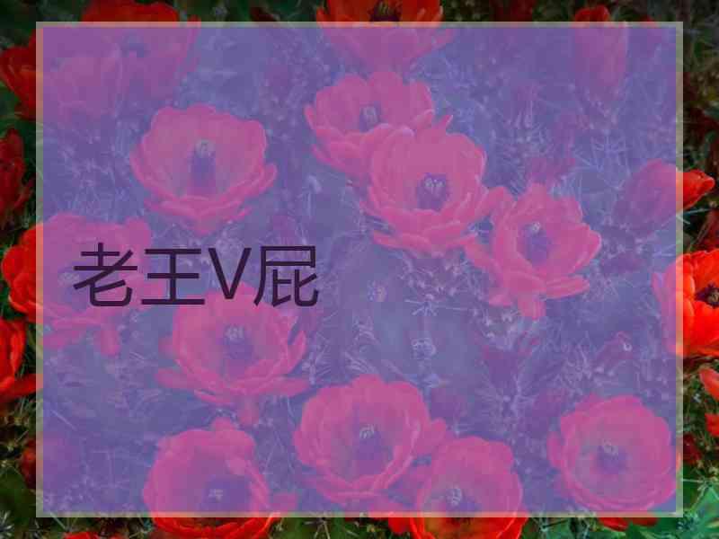 老王V屁